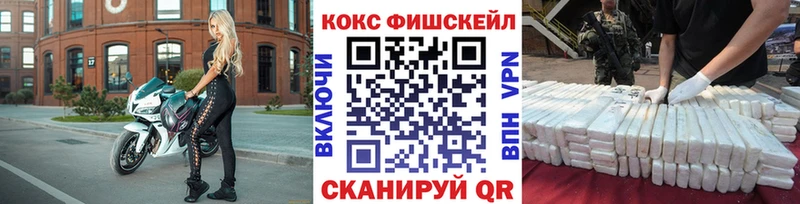 Cocaine FishScale  купить закладку  OMG ССЫЛКА  Дзержинский 