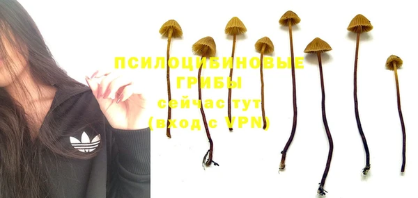 бошки Вязьма
