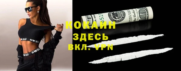 амф Вяземский