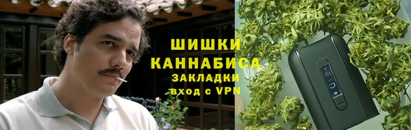 ПСИЛОЦИБИНОВЫЕ ГРИБЫ Вязники
