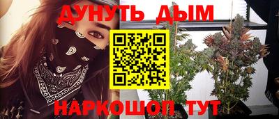 сатива Беслан