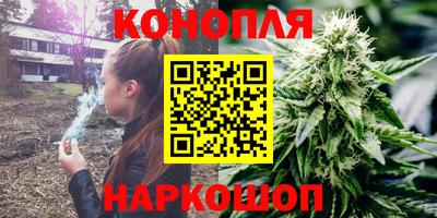 сатива Беслан