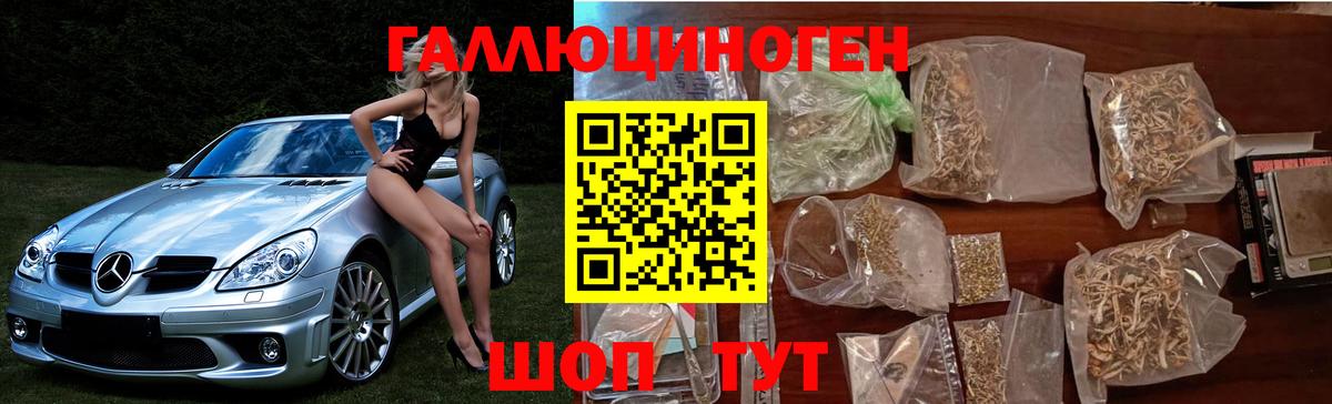 купить закладку  Псилоцибиновые грибы Cubensis  Дзержинский  Галлюциногенные грибы GOLDEN TEACHER 